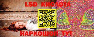 spice Гатчина
