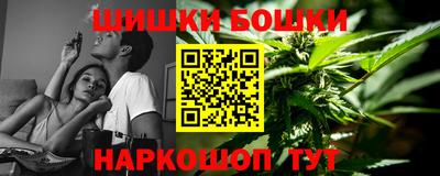 spice Гатчина