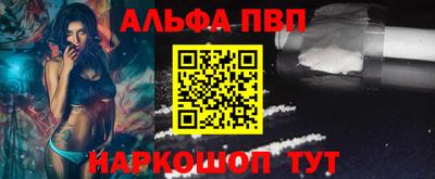 spice Гатчина