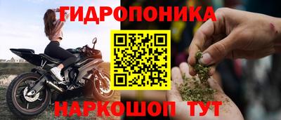 spice Гатчина