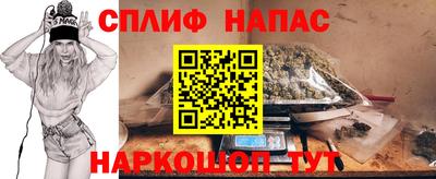 spice Гатчина