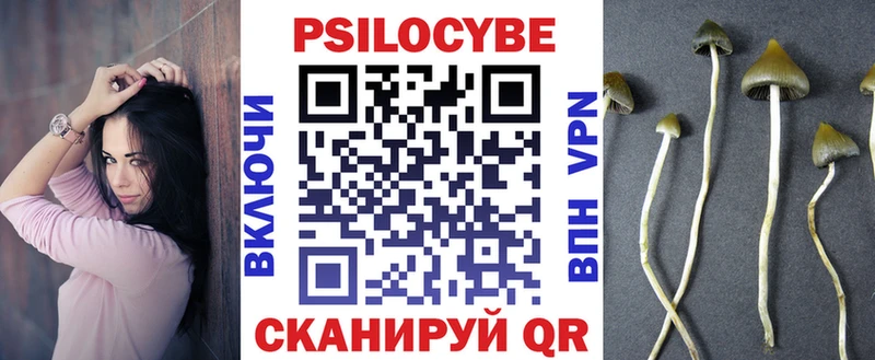 Псилоцибиновые грибы Cubensis  Туймазы 