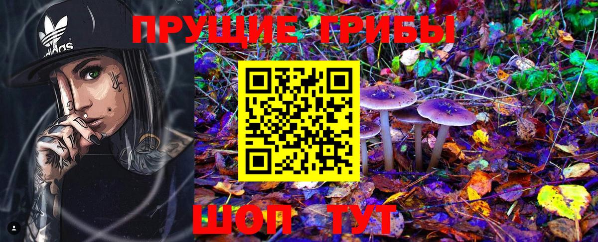 Галлюциногенные грибы Psilocybe Туймазы